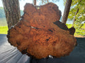 Cherry Burl Bourbon Board & Plant Holder
