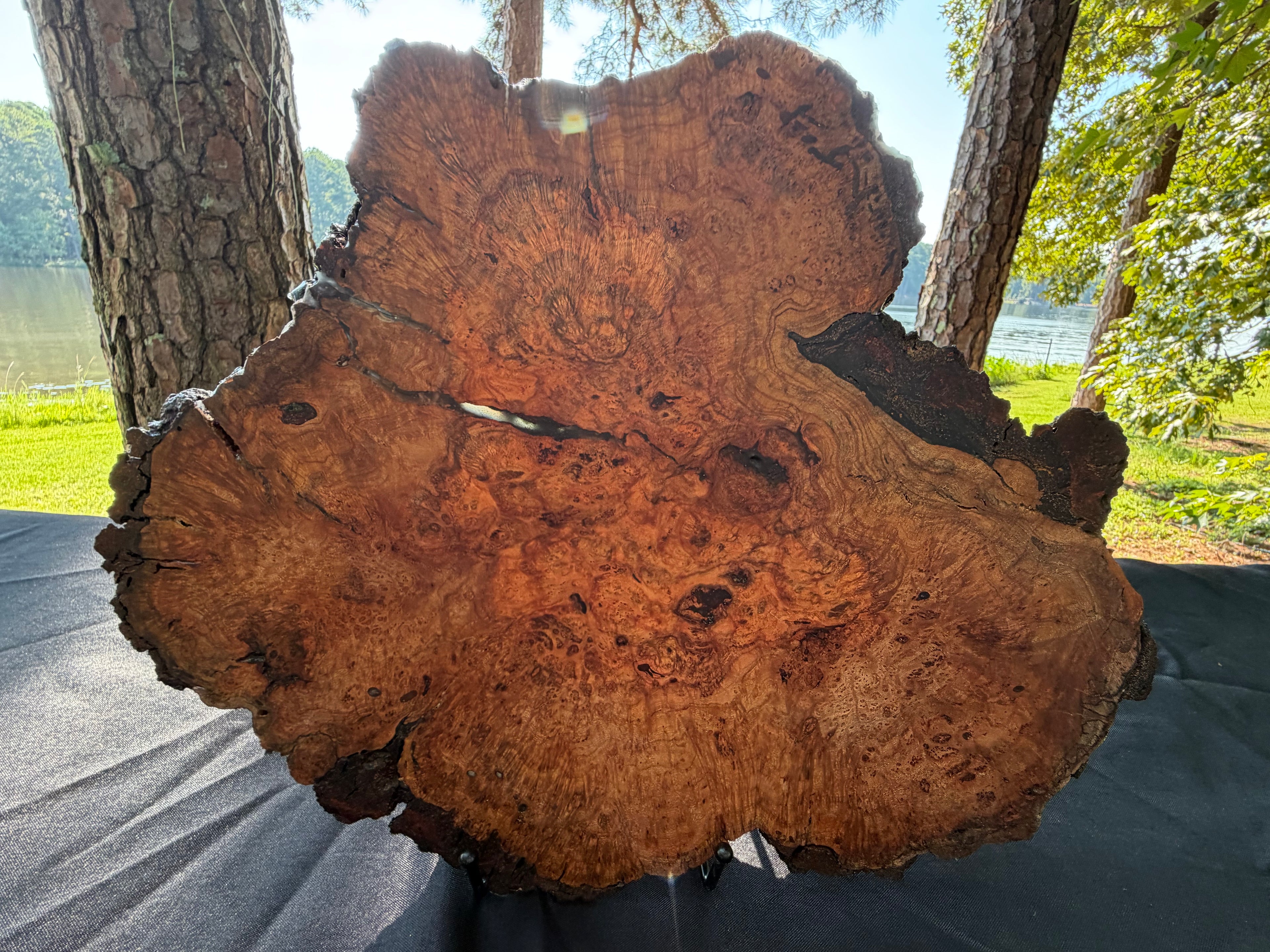Cherry Burl Bourbon Board & Plant Holder