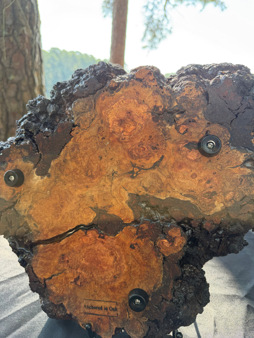 Cherry Burl Bourbon Board & Plant Holder